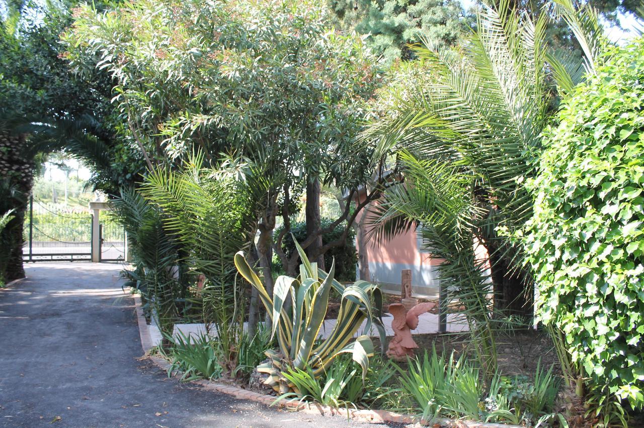 Sea Garden Rooms Térmoli Exterior foto